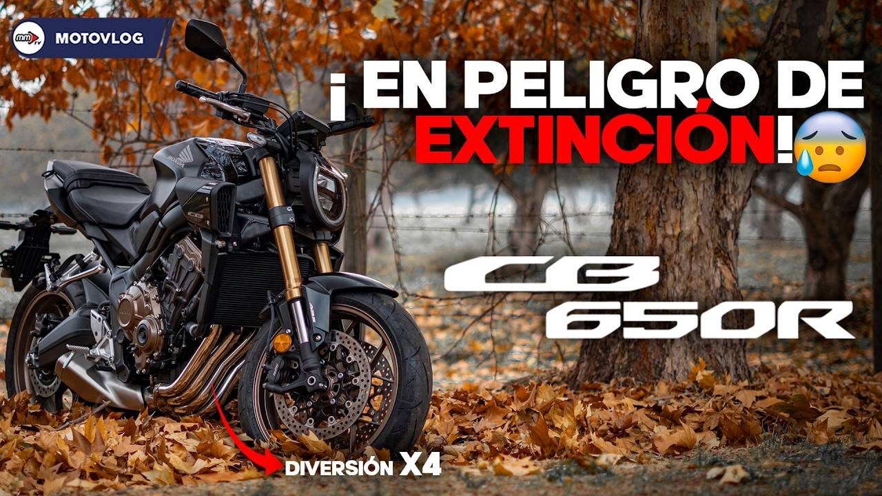 Honda CB650R 2026: El sueño de Anonimoto sobre dos ruedas